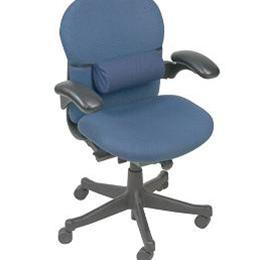 Image for product - Lumbar Support - Full Roll thumbnail